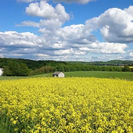 Ferienwohnung An Der Almequelle Brilon Kültér fotó