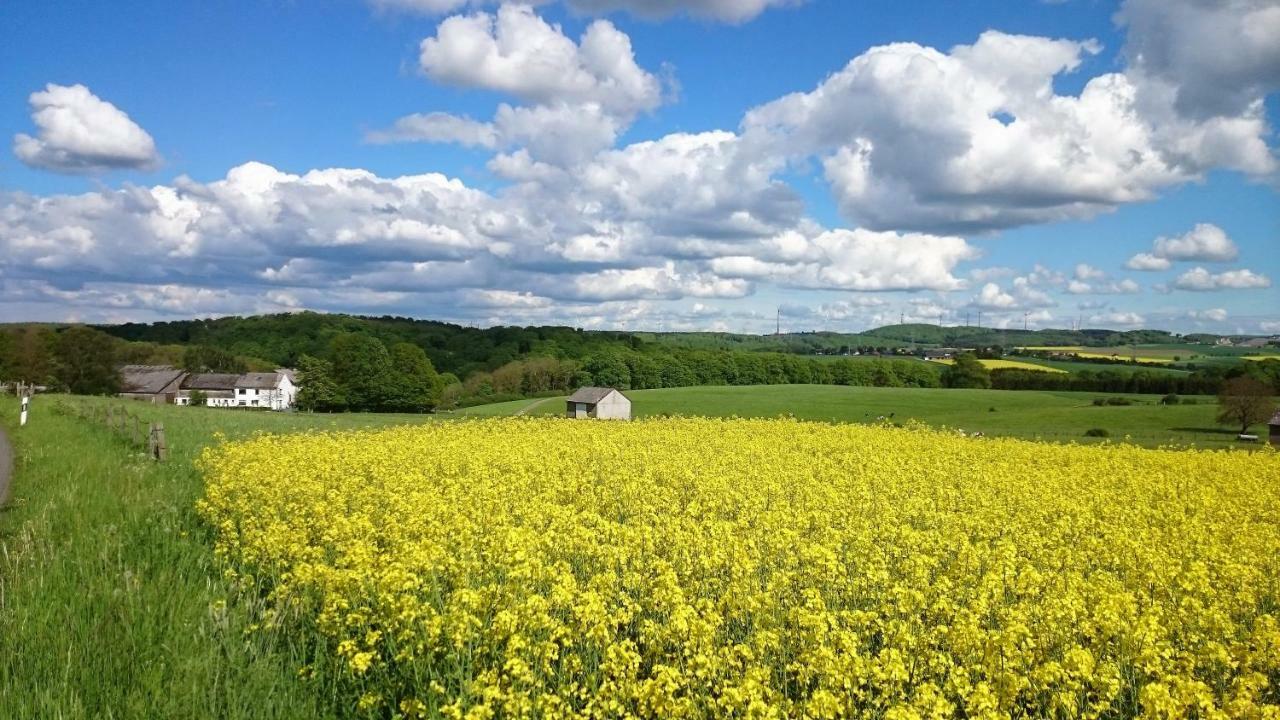 Ferienwohnung An Der Almequelle Brilon Kültér fotó